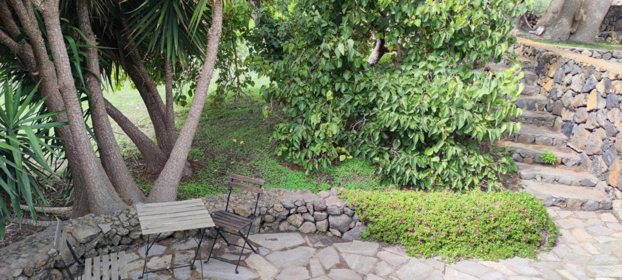 Agradable casa palmera con preciosas vistas El Paso Exterior foto