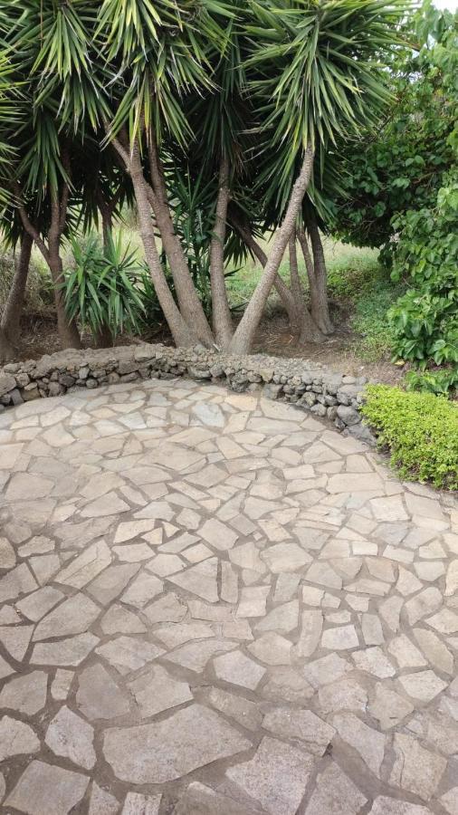 Agradable casa palmera con preciosas vistas El Paso Exterior foto