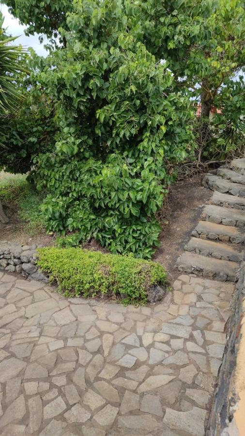 Agradable casa palmera con preciosas vistas El Paso Exterior foto