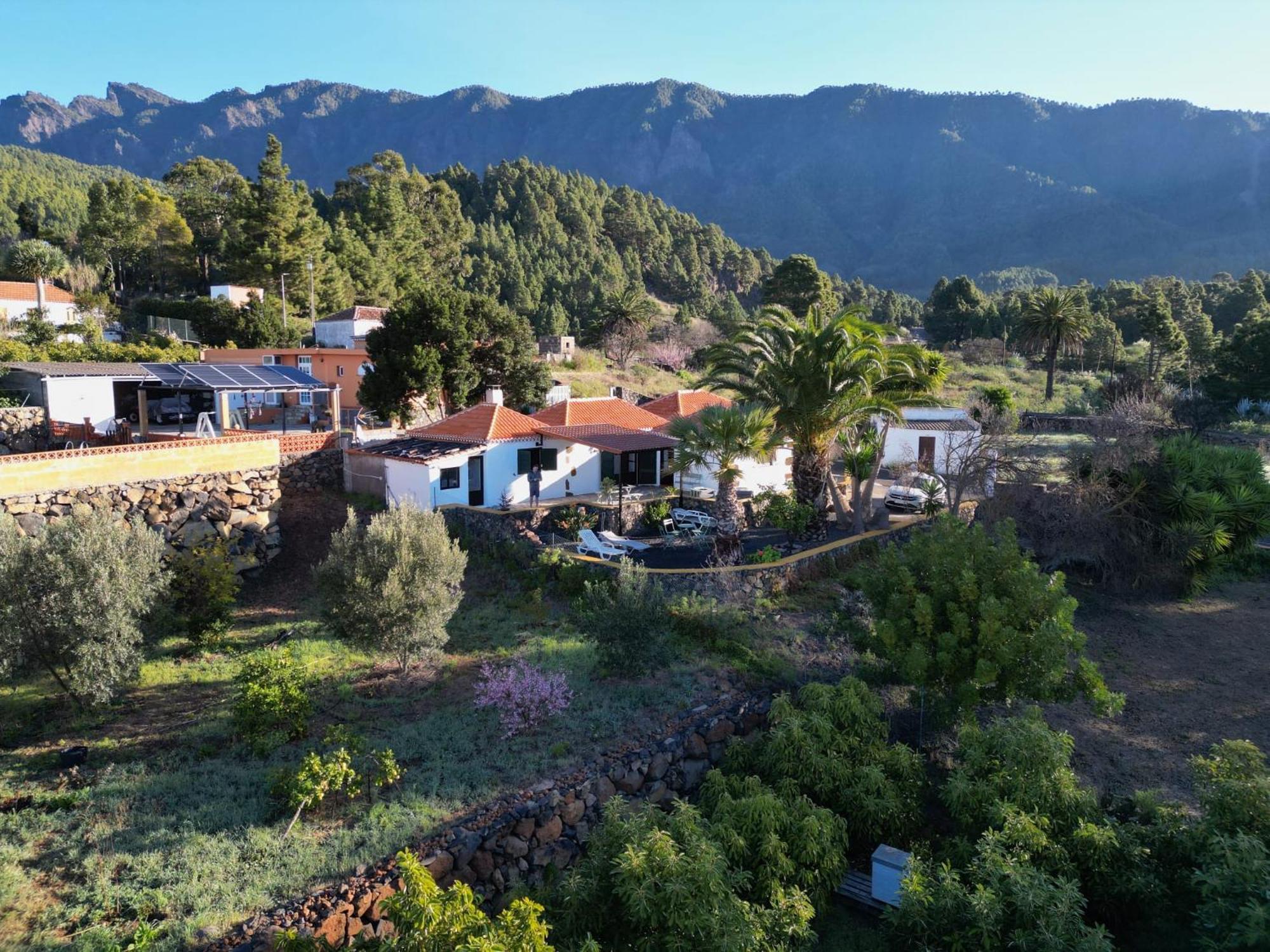 Agradable casa palmera con preciosas vistas El Paso Exterior foto